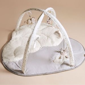 Skip Hop x pbk Dreamy Skies Activity Gym